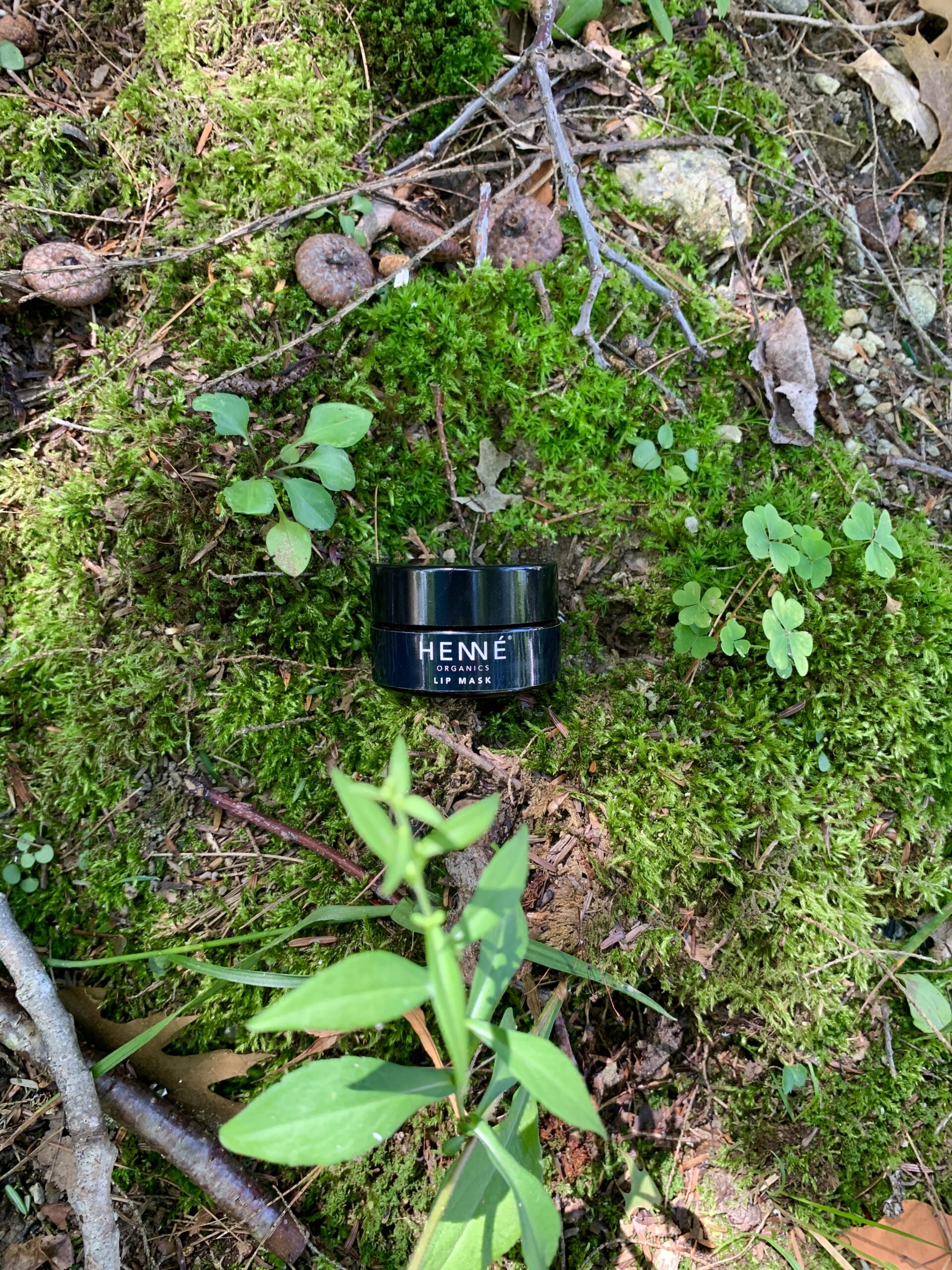 Read more about the article Henné Organics Lip Mask Review