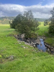 Read more about the article A Blissful Time in Brewlands