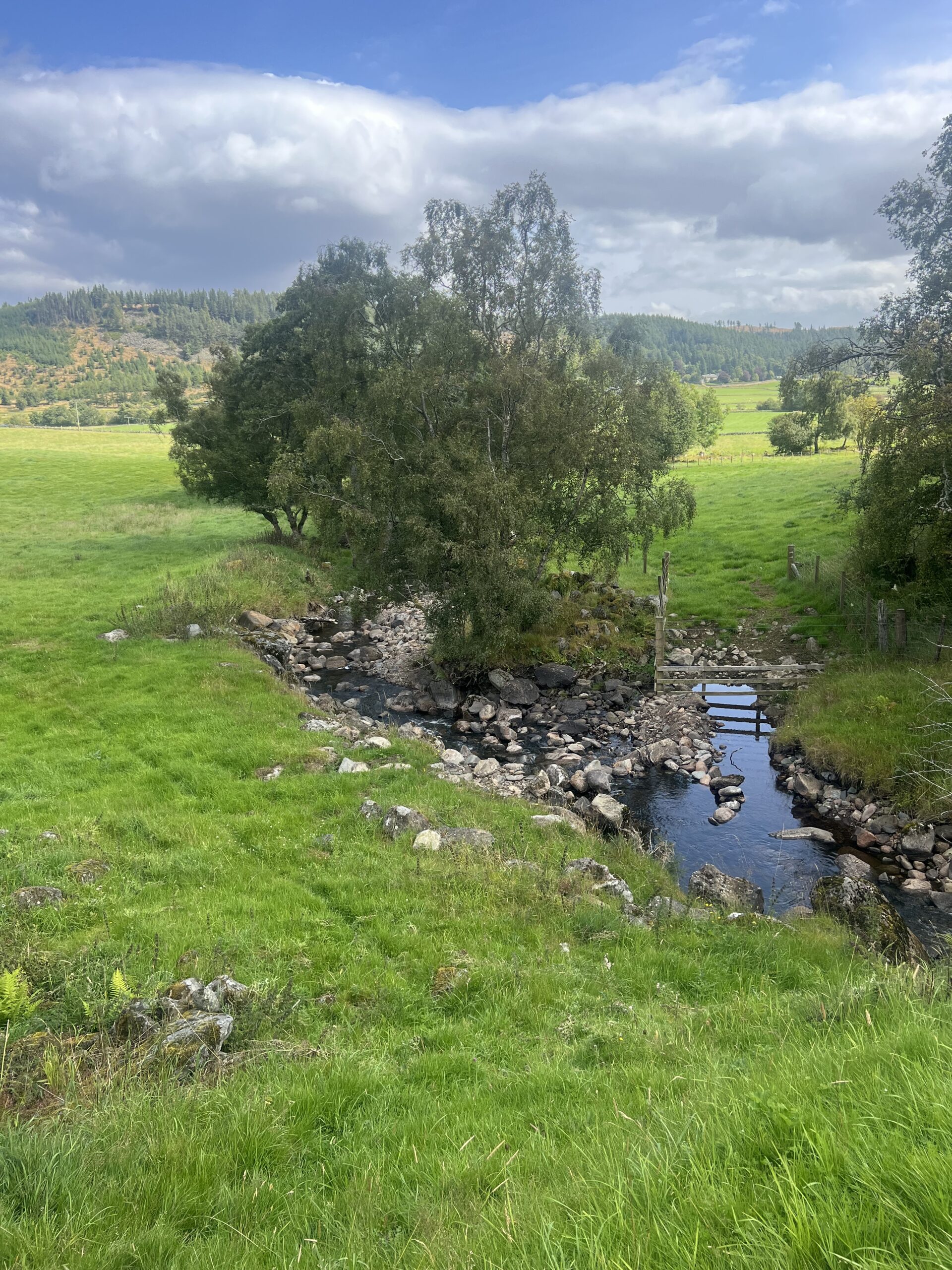 Read more about the article A Blissful Time in Brewlands