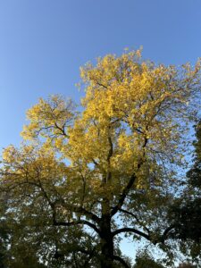 Read more about the article A Brief Update