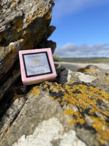 Read more about the article Love from Shetland