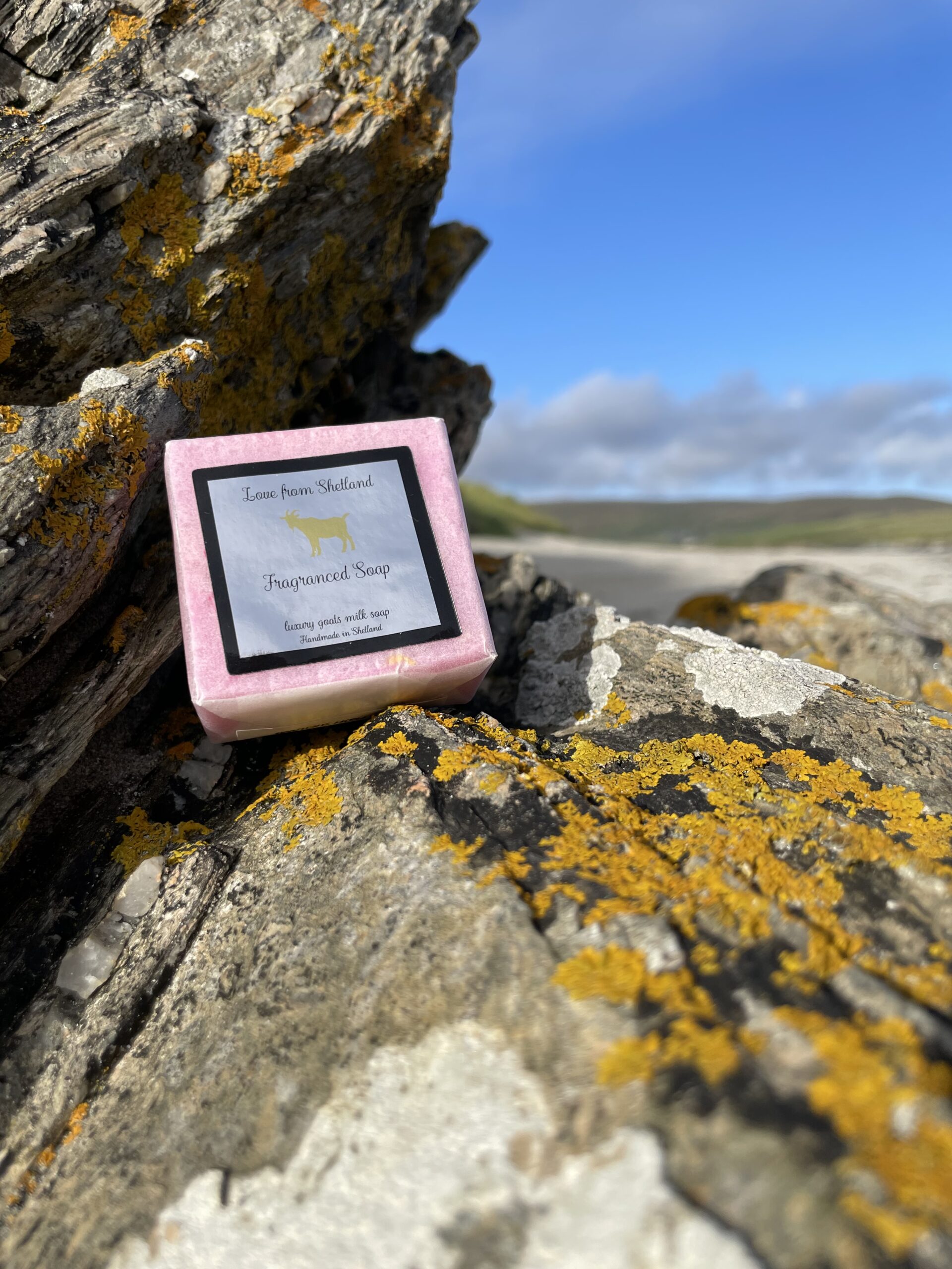 Read more about the article Love from Shetland