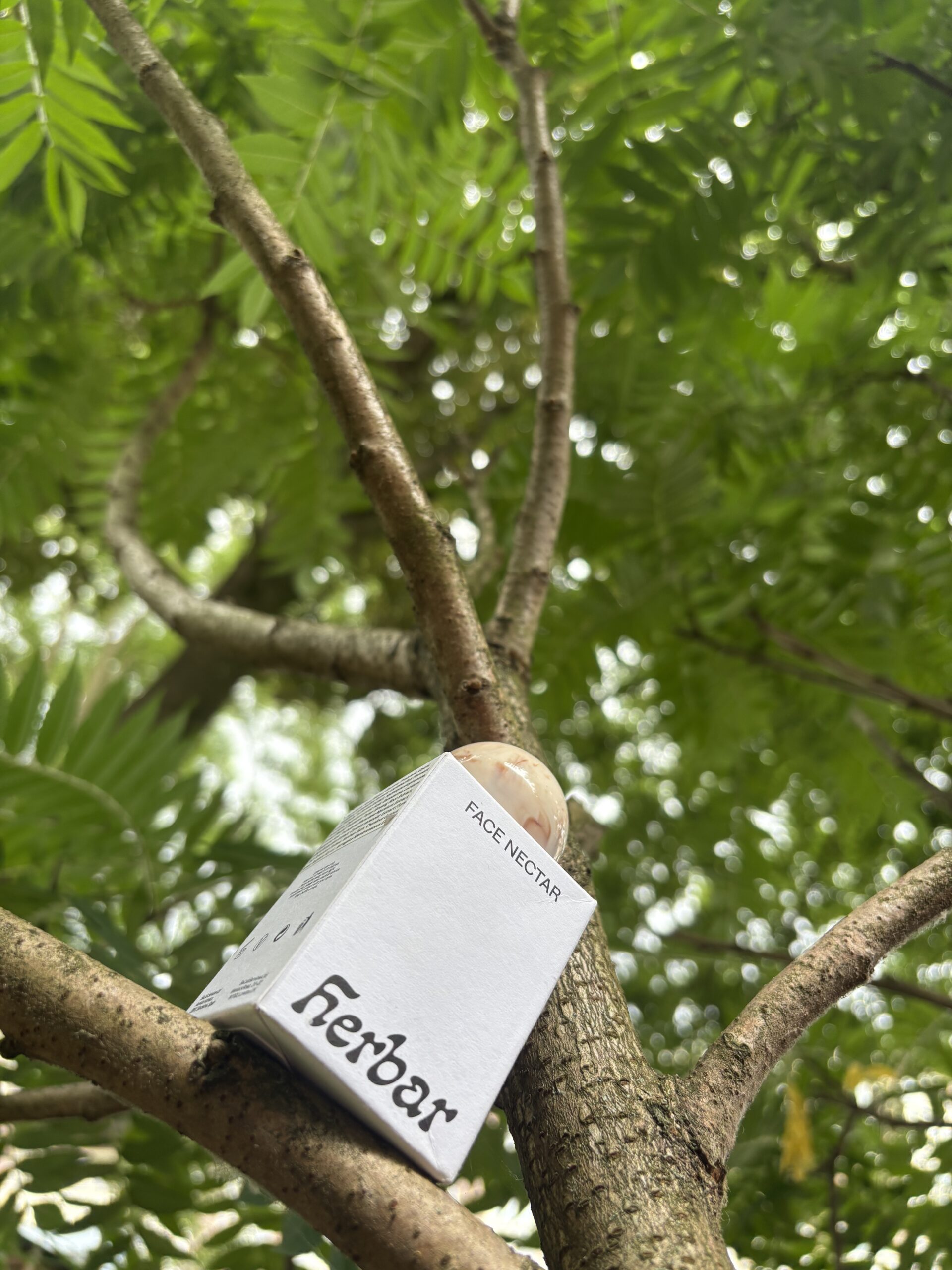 Read more about the article Herbar: East Meets West